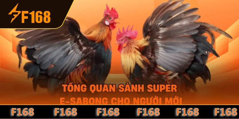Tổng quan sảnh Super e-sabong cho người mới Tổng quan sảnh Super e-sabong cho người mới